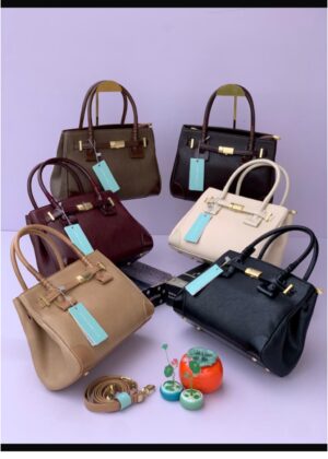 Classy Structured Chrisbella Bag